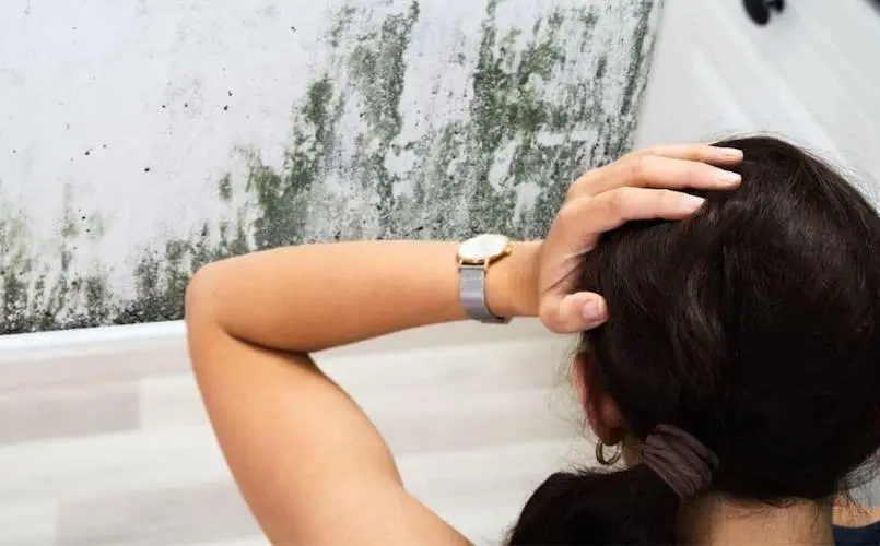 When you discover mold in your home, you may have questions about what you can do and what you should do. Fortunately, there are plenty of great resources that will help you choose the best course of action.