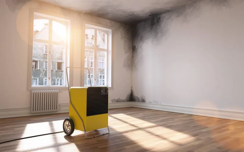 All Clean Restoration has the professional techniques and know-how to properly remove, dry, clean, and repair all types of water damage, no matter how large or small.