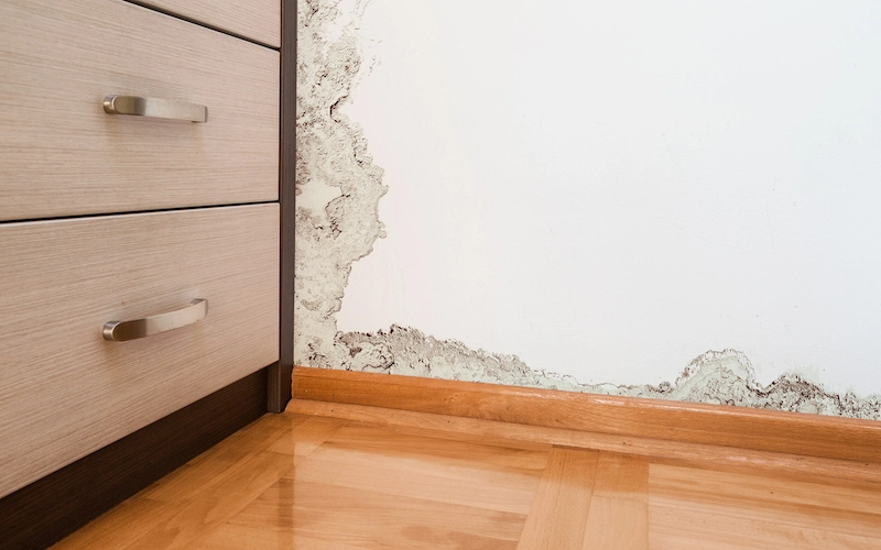 Water damage can be an insidious and costly problem for homeowners. Left unchecked, it can cause serious structural or health issues that may not initially be visible to the untrained eye. Identifying water damage early is essential in order to prevent more serious problems from de