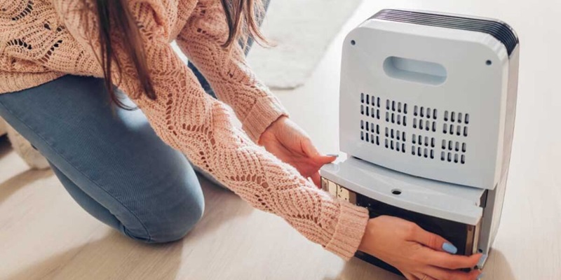 Dehumidifiers are an essential weapon in the fight against mold growth, particularly in moisture-prone areas like basements and bathrooms. They work by effectively managing indoor humidity, creating an environment less hospitable for mold to thrive.