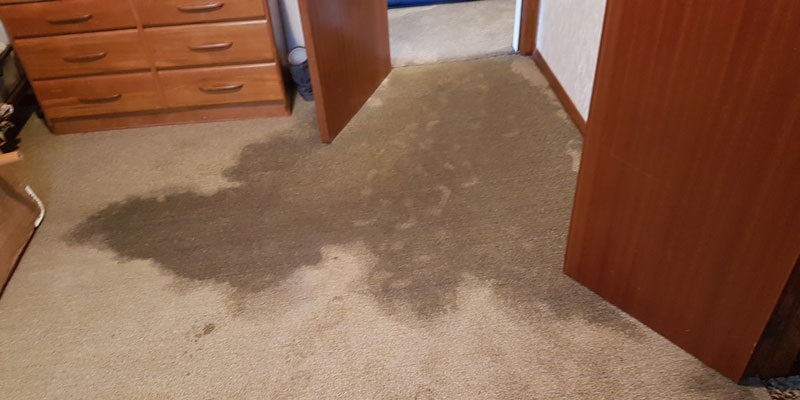 Wet carpet isn't just an eyesore; it can quickly lead to serious damage to your home and even pose health risks. Here's why getting professional help for wet carpet is crucial, and how All Clean Restoration can be there to make sure your Illinois or Missouri home stays dry and safe.
