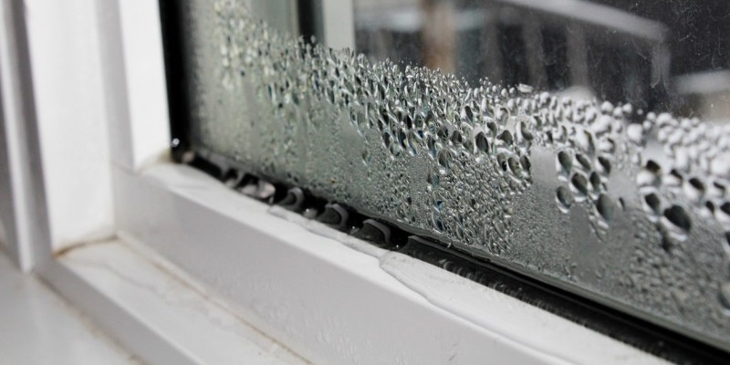 waterdamagehiding Building materials and water are sworn enemies. When these two meet, the results can be disastrous. Insulation, wood, and other building components can rot, mold, and weaken when exposed to persistent moisture.