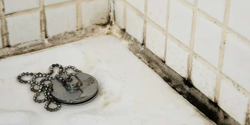 Your bathroom: a haven for relaxation after a long day. But unfortunately, it's also a prime breeding ground for mold.