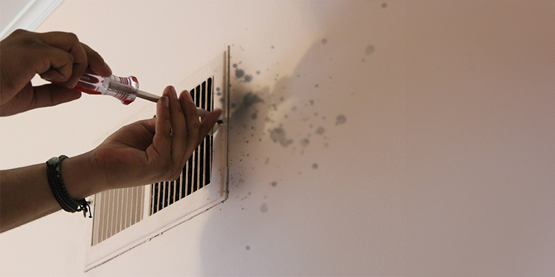 Summer heat is winding down. Your trusty air conditioner (A/C) is a lifesaver, but did you know it can also cause major water damage if neglected? At All Clean Restoration Services, a leading provider of water damage restoration in Illinois, we see A/C leaks all too often.