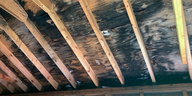 moldycrawlspace For many homeowners, the culprit could be hidden mold lurking in attics and crawlspaces, causing unpleasant smells and potentially serious problems.