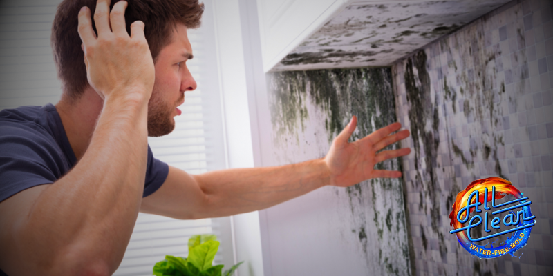 Mold is a common household problem in both Illinois and Missouri, and addressing it effectively is crucial for maintaining a healthy and safe living environment. All Clean Restoration, a trusted name in water damage restoration and mold remediation in Missouri and Illinois, is here to help you understand the difference between mold removal and mold remediation. Knowing the distinction can empower you to make informed decisions when dealing with mold issues in your home.
